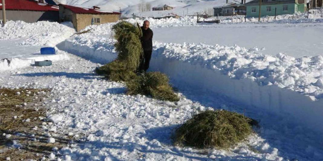 Yazın tedbir alındı zorlu mesai başladı! Burada kış sert emek daha da sert: Besiciler soğuğa meydan okuyor 1